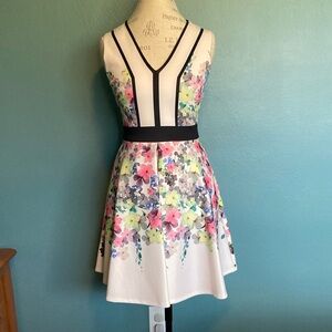 Ted Baker London Floral Dress
